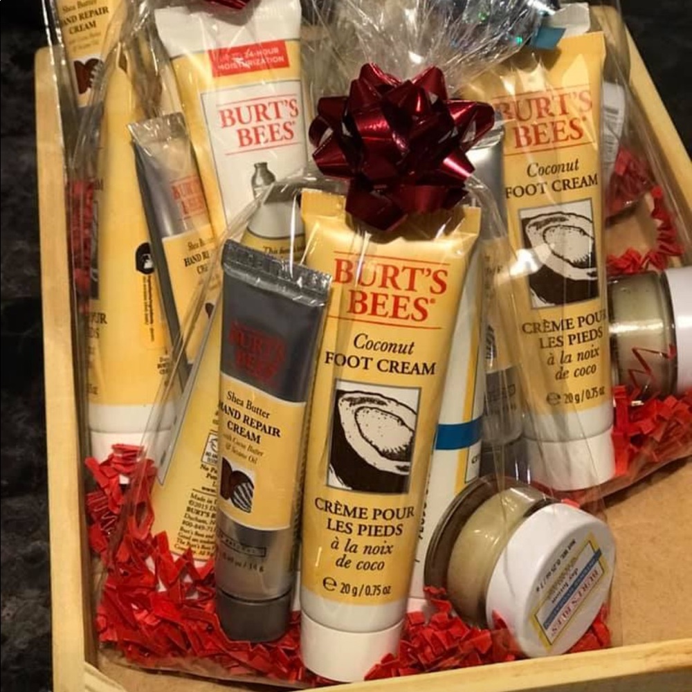 Burt's Bees Fabulous Mini's Travel Set